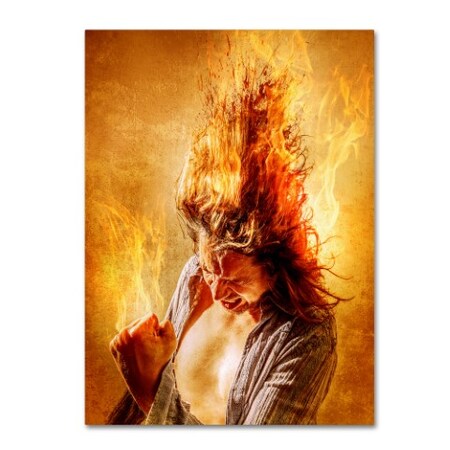 Steve Augulis 'Heat Miser' Canvas Art,14x19